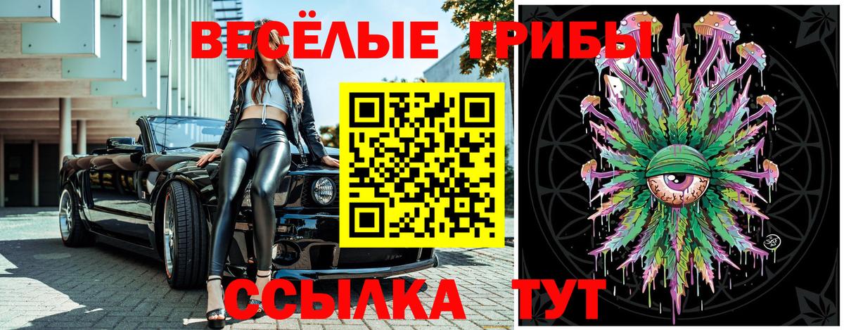 Сергиев Посад  Галлюциногенные грибы мухоморы  Псилоцибиновые грибы Magic Shrooms  купить наркоту  Вход с VPN 